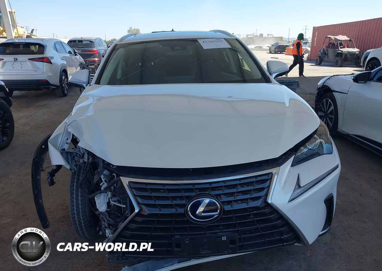 2020 Lexus Nx 300H VIN:JTJGJRDZ8L5009574 - 12