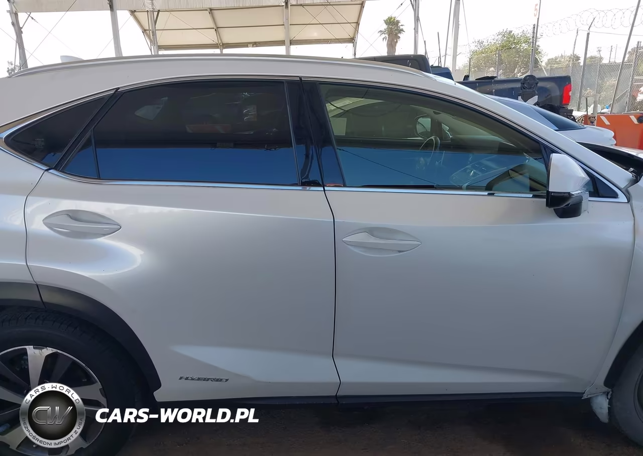 2020 Lexus Nx 300H VIN:JTJGJRDZ8L5009574 - 13