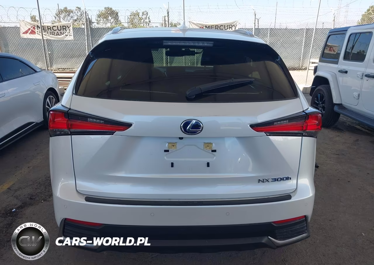 2020 Lexus Nx 300H VIN:JTJGJRDZ8L5009574 - 16