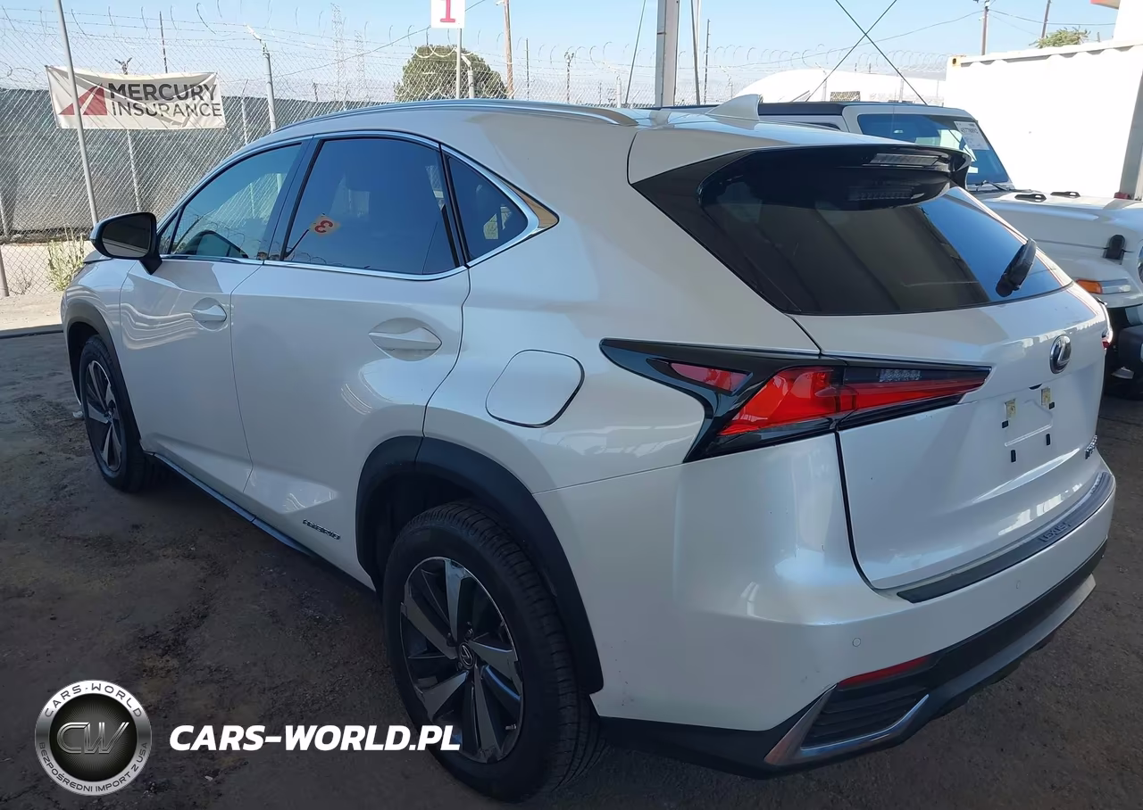 2020 Lexus Nx 300H VIN:JTJGJRDZ8L5009574 - 3