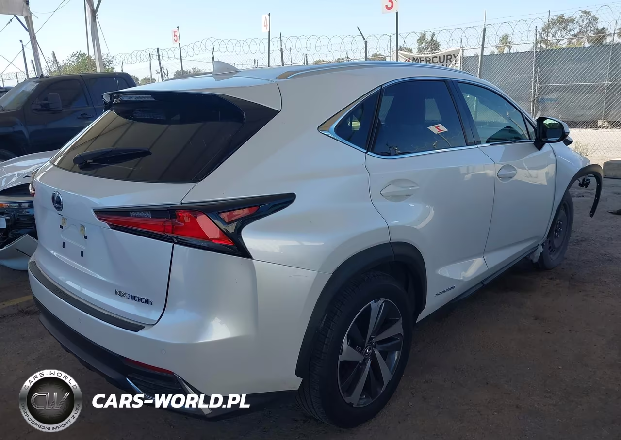 2020 Lexus Nx 300H VIN:JTJGJRDZ8L5009574 - 4