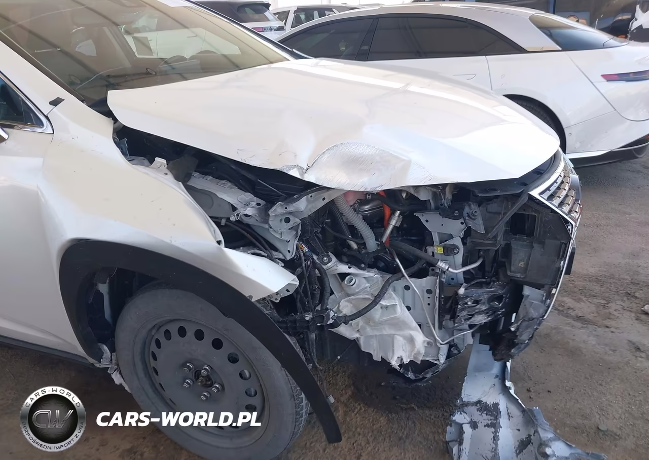 2020 Lexus Nx 300H VIN:JTJGJRDZ8L5009574 - 6