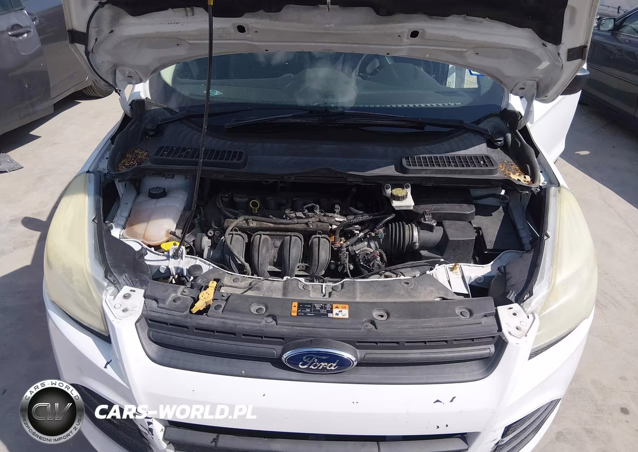 2014 Ford Escape S VIN:1FMCU0F79EUC21047 - 10