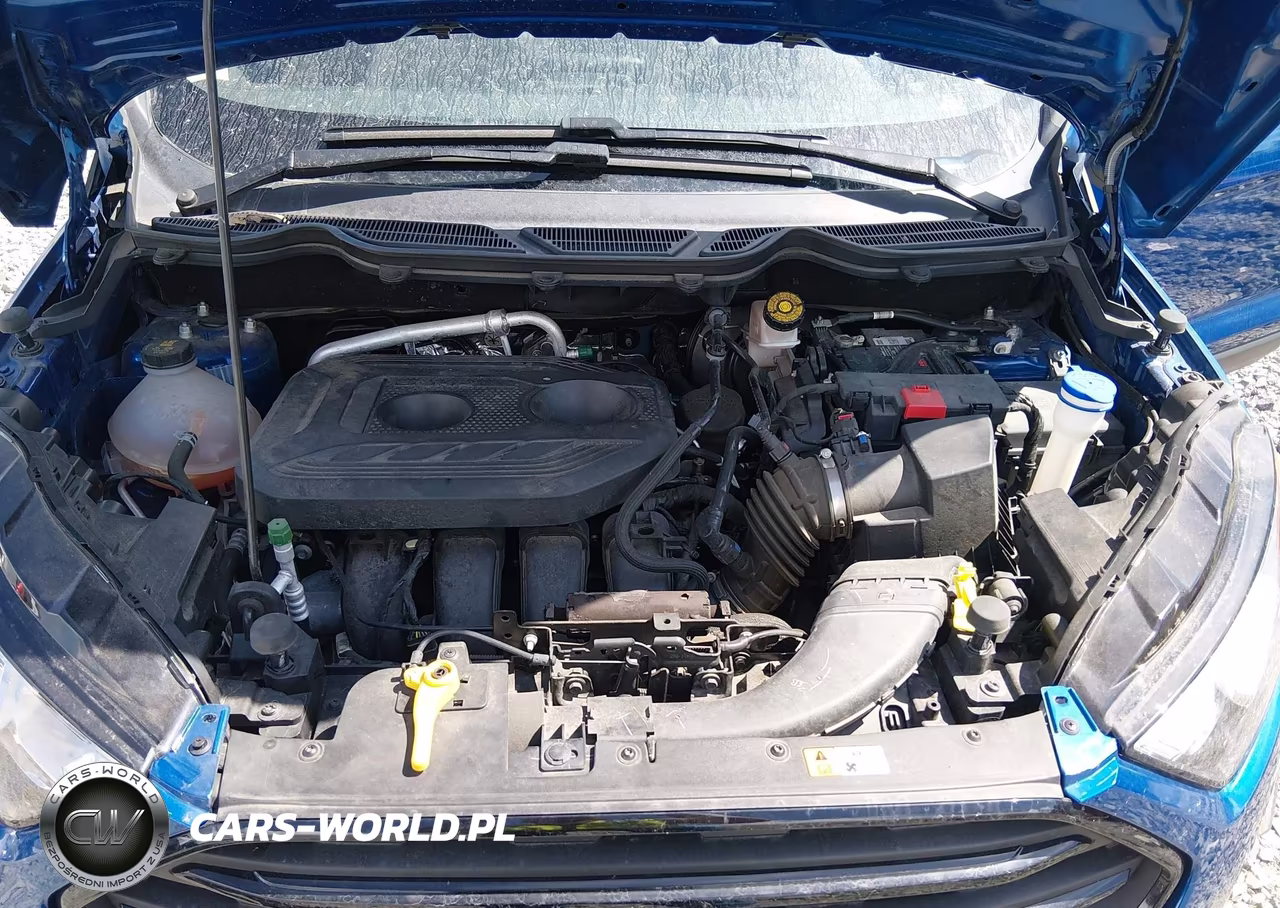 2019 Ford Ecosport S VIN:MAJ6S3FL6KC280876 - 10