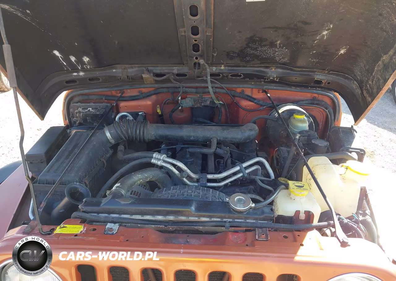 2001 Jeep Wrangler Sport VIN:1J4FA49S21P368010 - 10