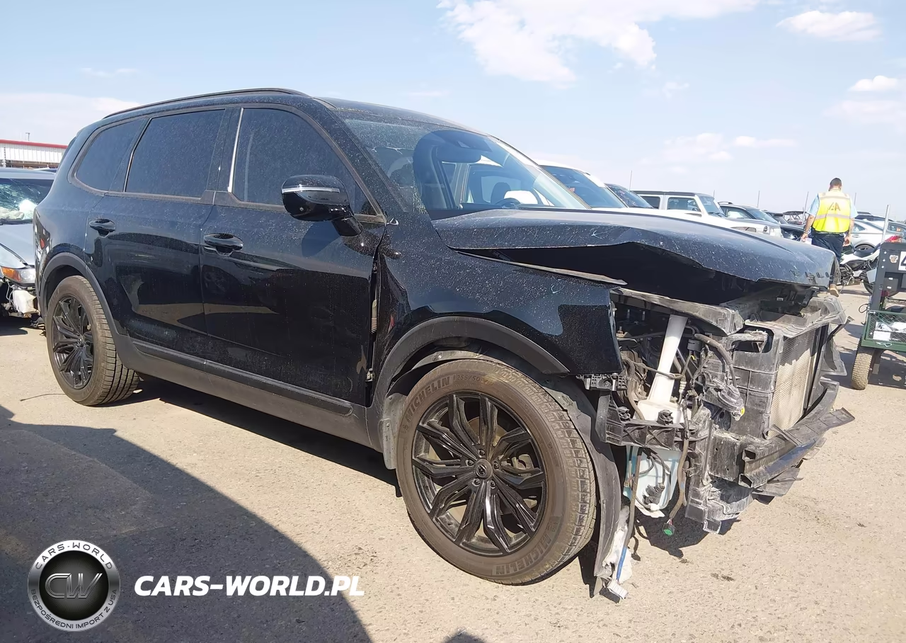 2020 Kia Telluride Sx VIN:5XYP5DHC7LG005362 - 1