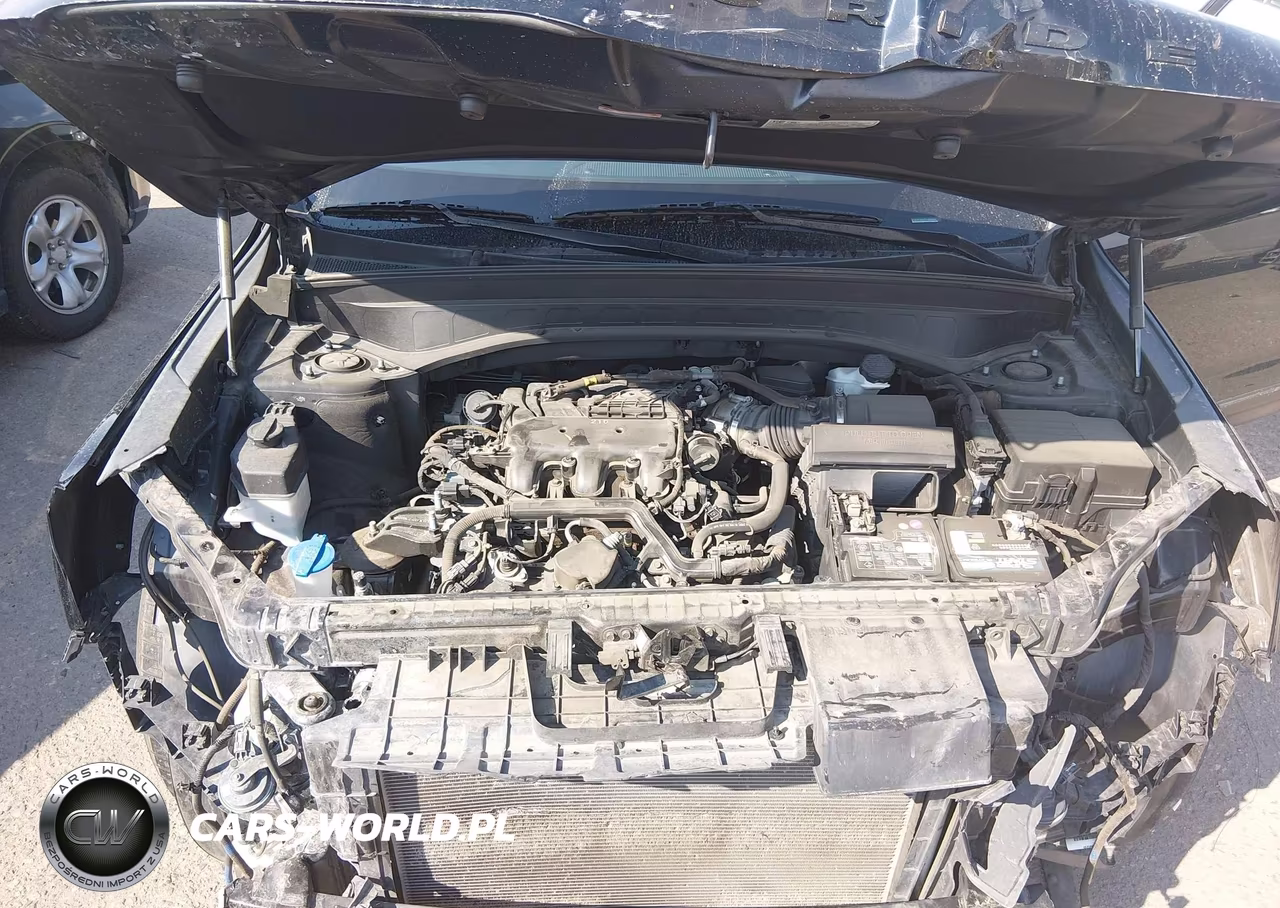 2020 Kia Telluride Sx VIN:5XYP5DHC7LG005362 - 10