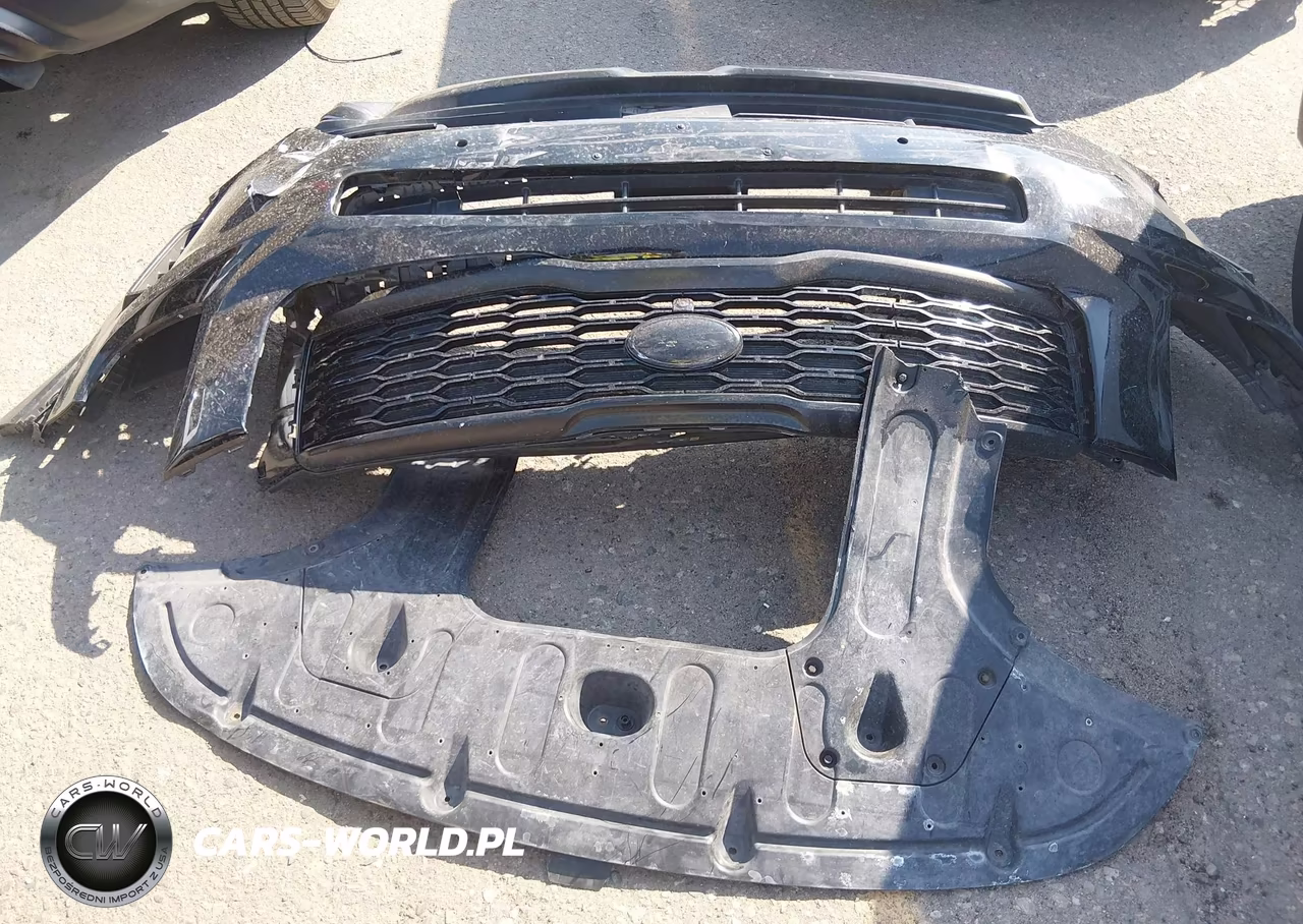 2020 Kia Telluride Sx VIN:5XYP5DHC7LG005362 - 12