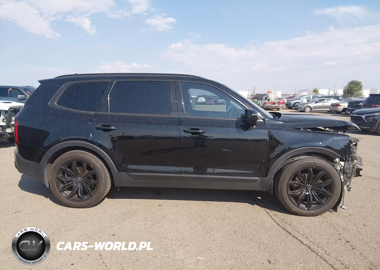 2020 Kia Telluride Sx VIN:5XYP5DHC7LG005362 - 14