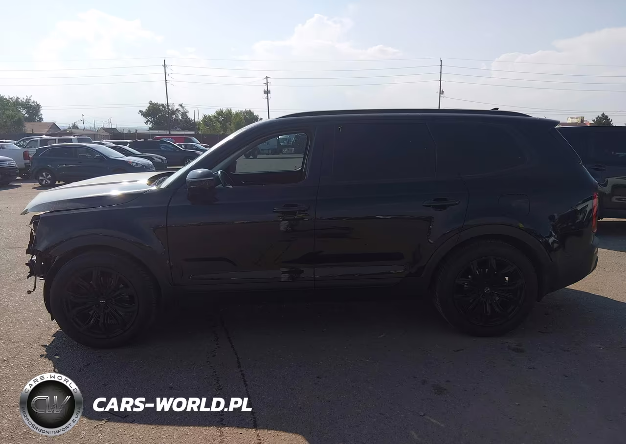 2020 Kia Telluride Sx VIN:5XYP5DHC7LG005362 - 15