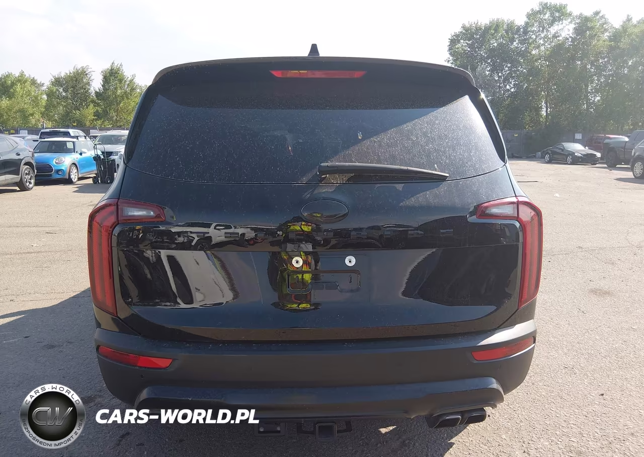 2020 Kia Telluride Sx VIN:5XYP5DHC7LG005362 - 17