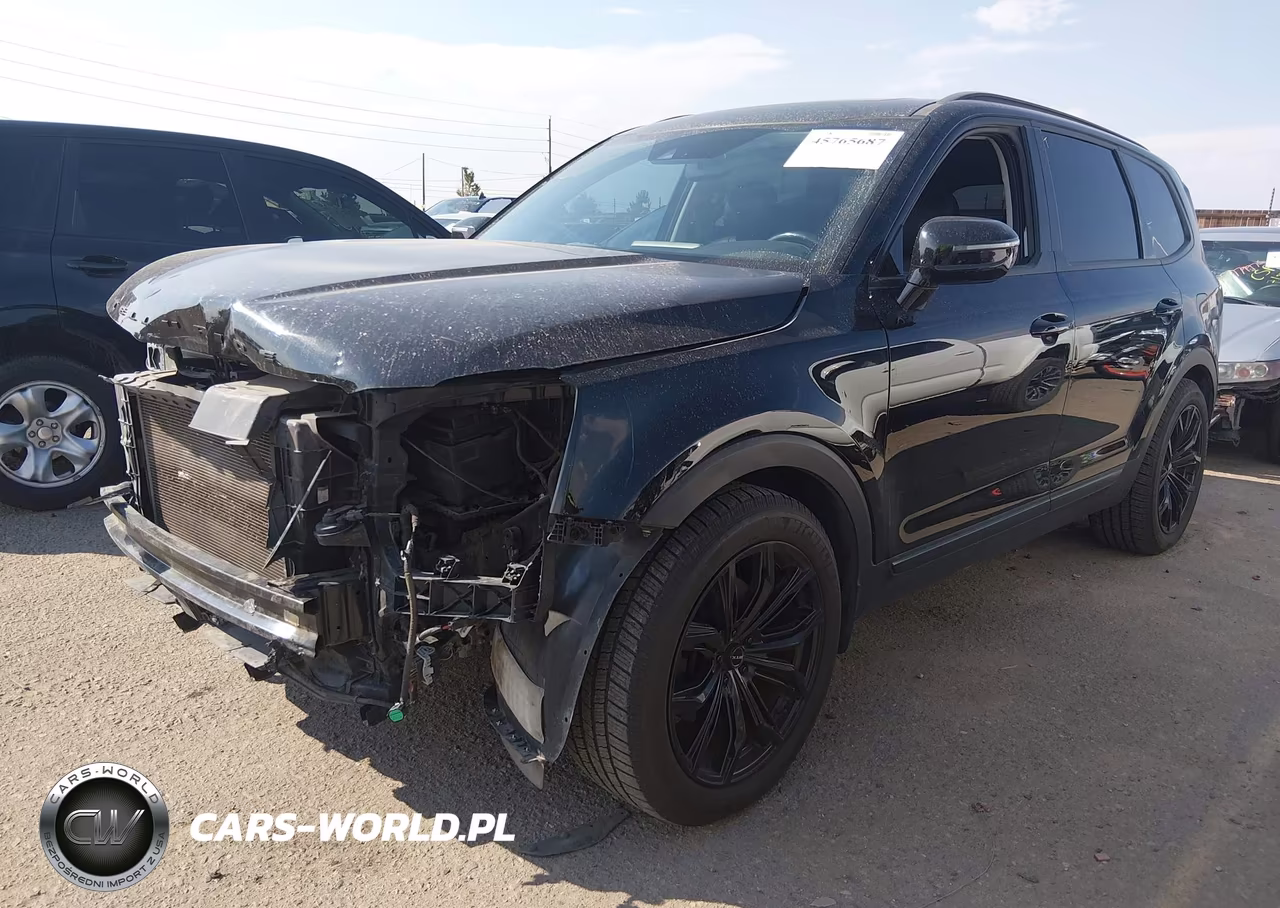 2020 Kia Telluride Sx VIN:5XYP5DHC7LG005362 - 2