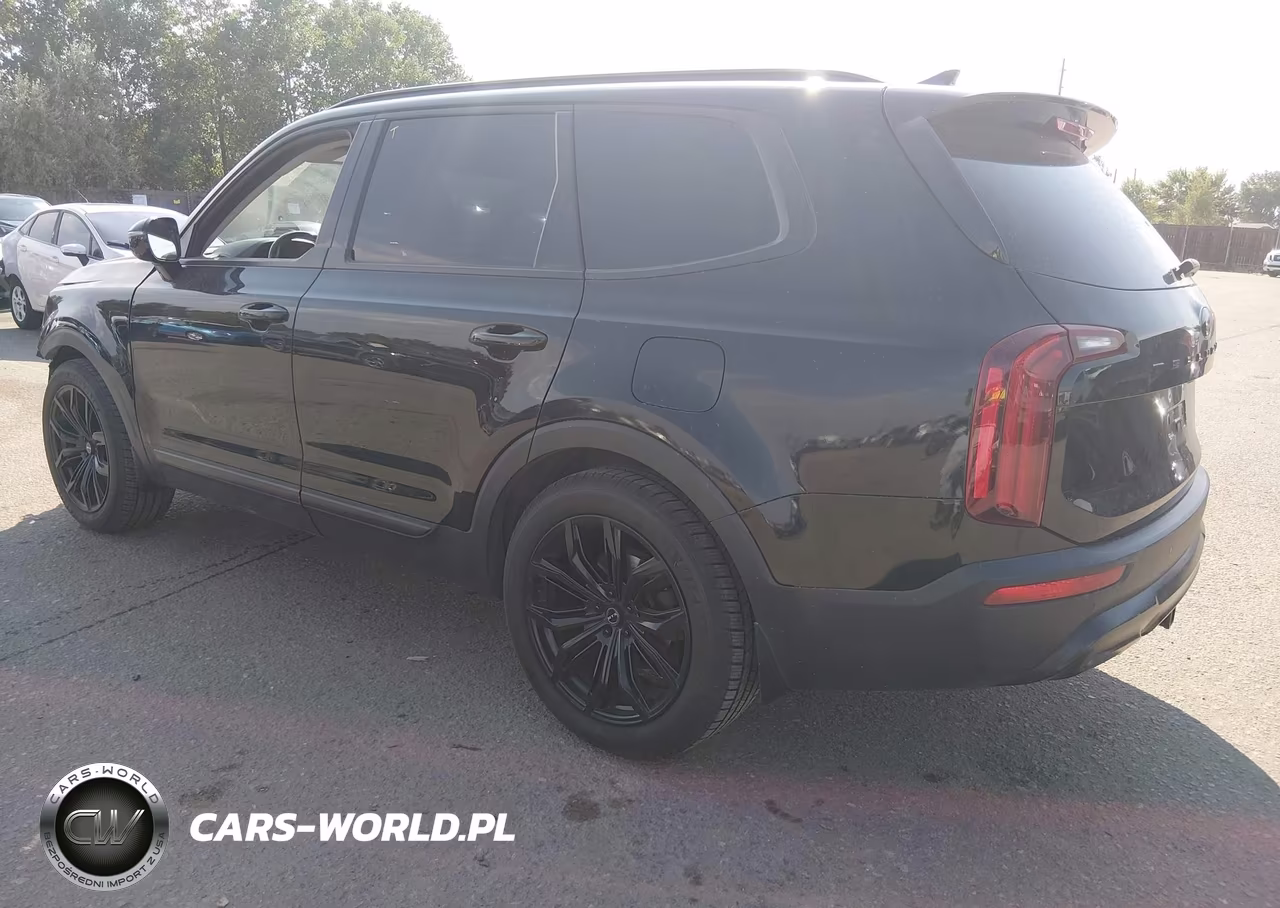 2020 Kia Telluride Sx VIN:5XYP5DHC7LG005362 - 3