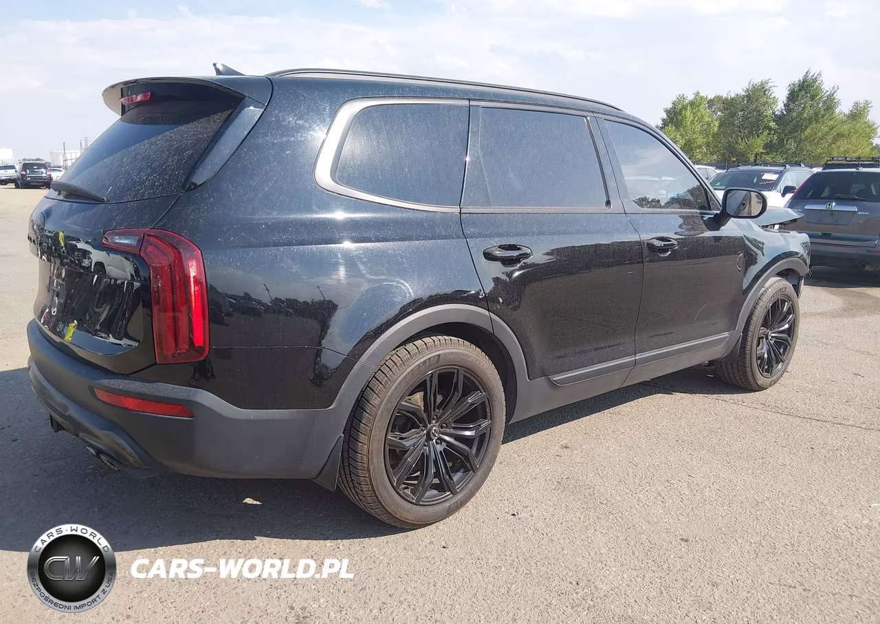 2020 Kia Telluride Sx VIN:5XYP5DHC7LG005362 - 4