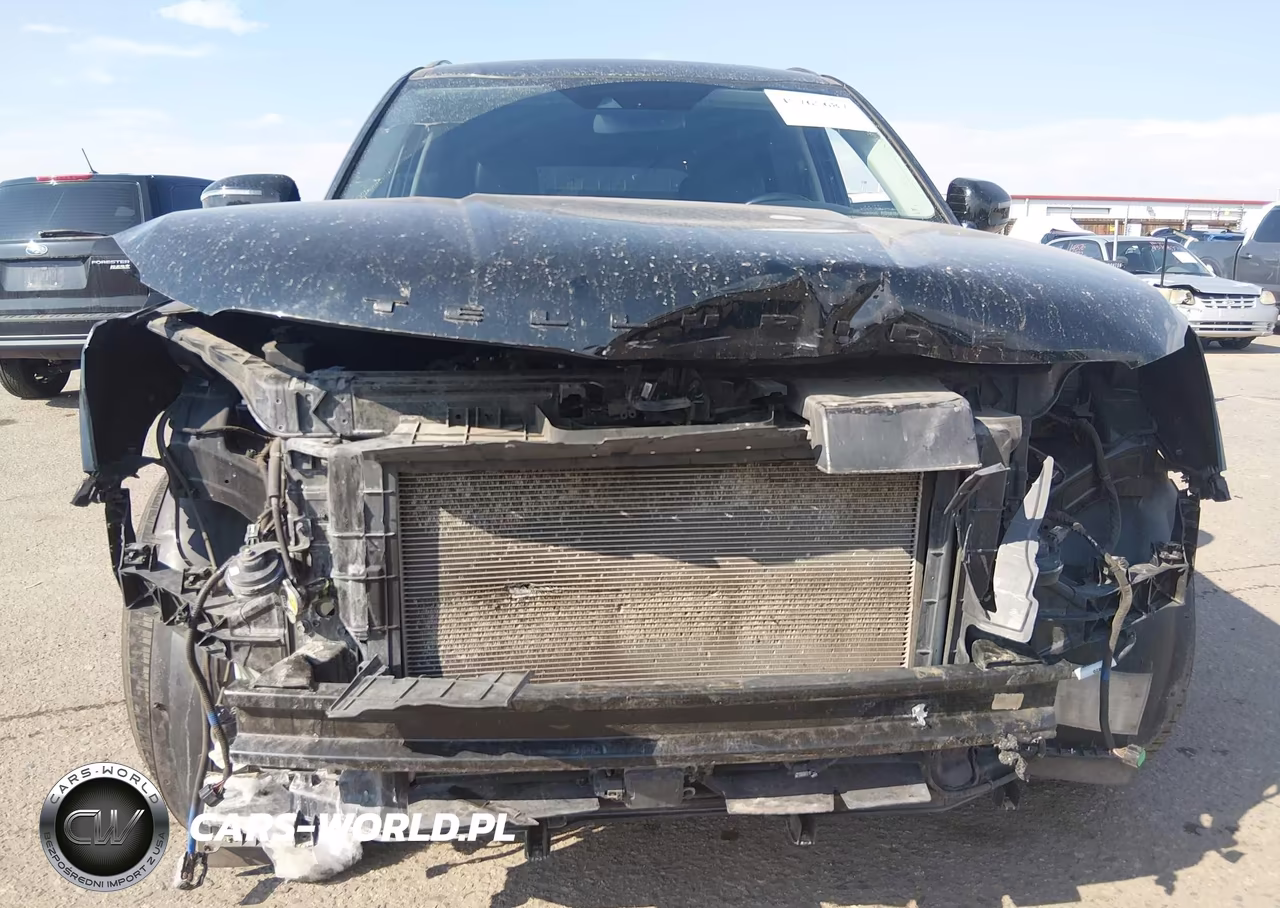 2020 Kia Telluride Sx VIN:5XYP5DHC7LG005362 - 6
