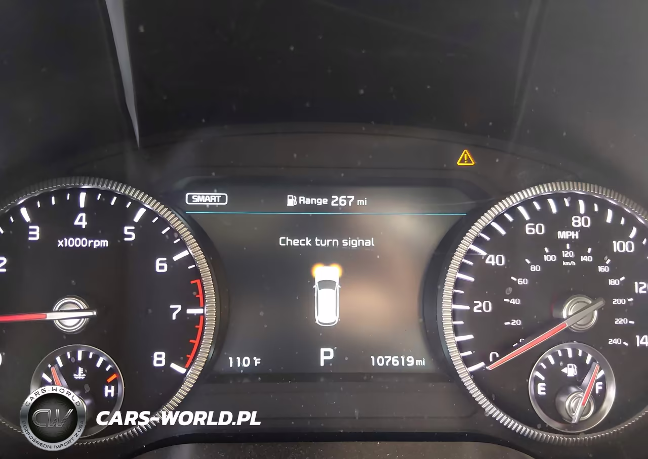 2020 Kia Telluride Sx VIN:5XYP5DHC7LG005362 - 7