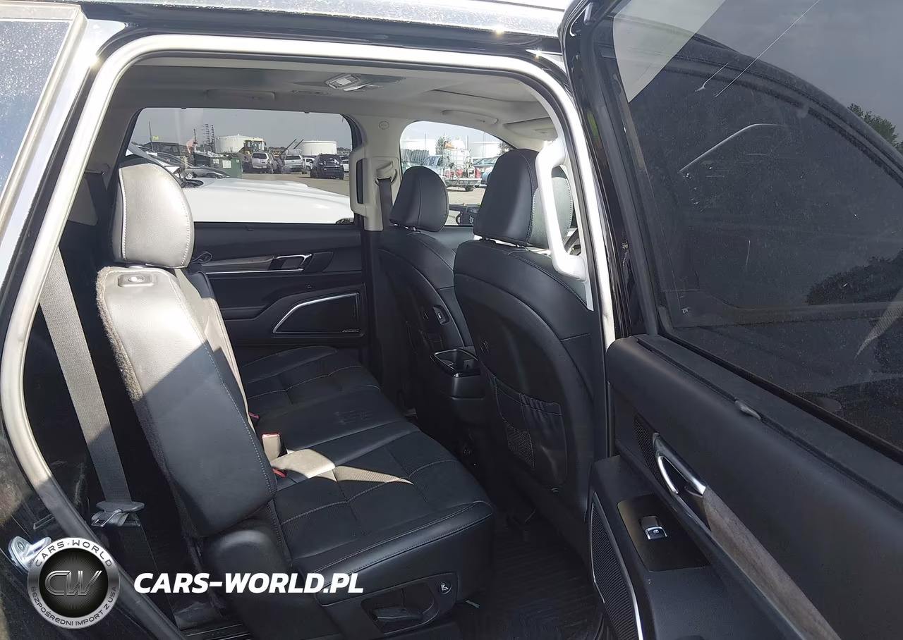 2020 Kia Telluride Sx VIN:5XYP5DHC7LG005362 - 8