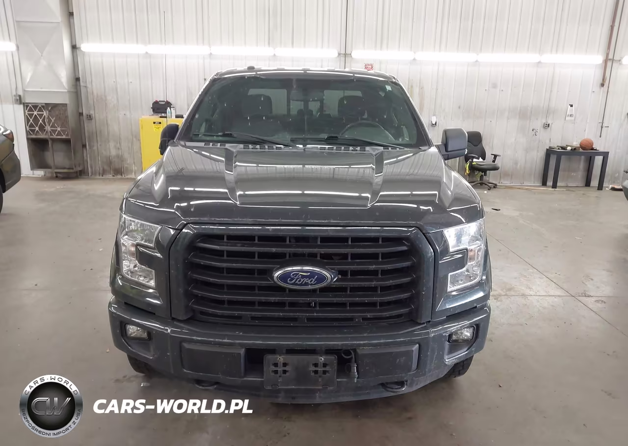 2016 Ford F-150 Xlt VIN:1FTFW1EG6GKG00282 - 12