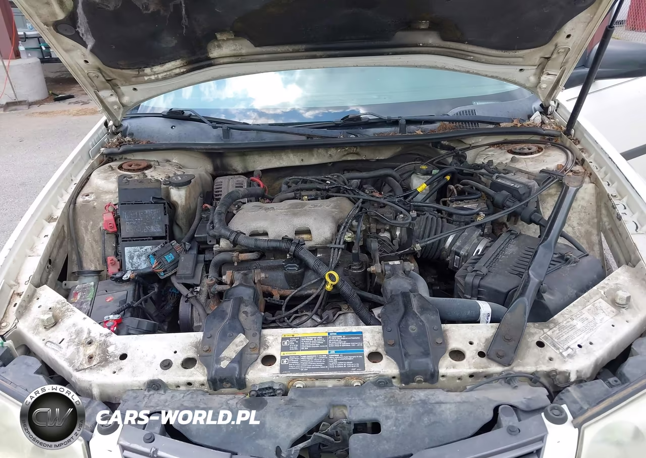 2005 Chevrolet Impala VIN:2G1WF52E759193025 - 10