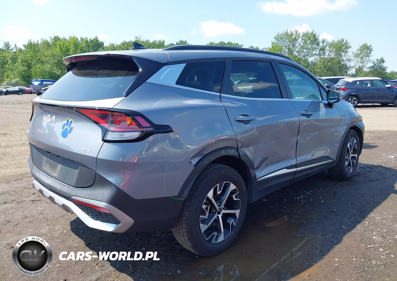 2025 Kia Sportage Ex VIN:5XYK3CDF5SG268944 - 17