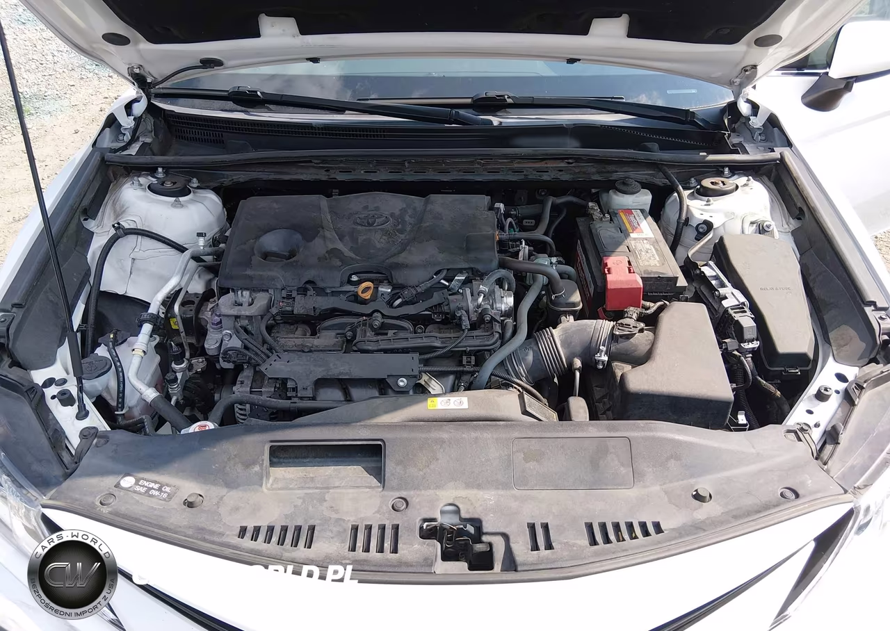 2021 Toyota Camry Le VIN:4T1C11AK3MU539562 - 10