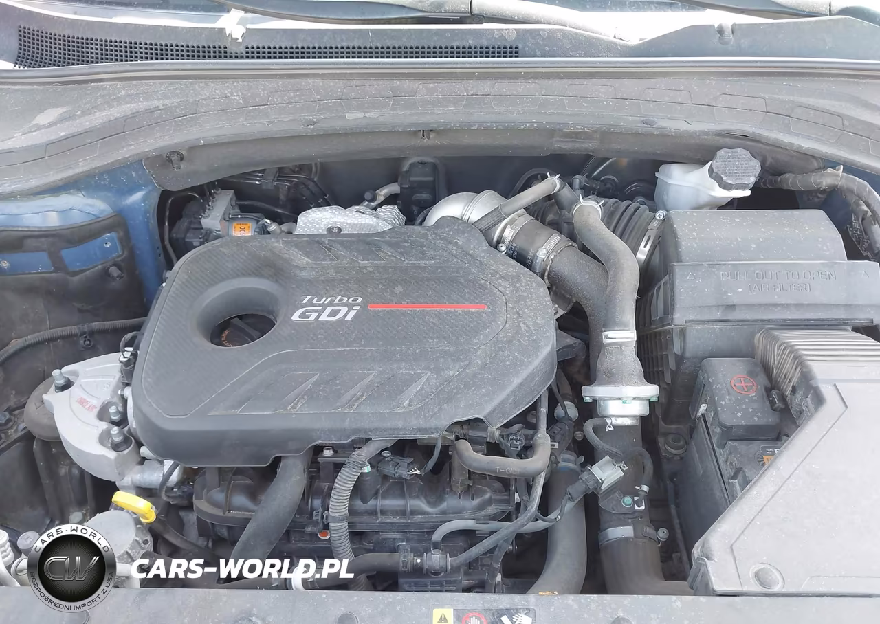 2020 Hyundai Santa Fe Sel 2.0T VIN:5NMS33AA7LH299287 - 10