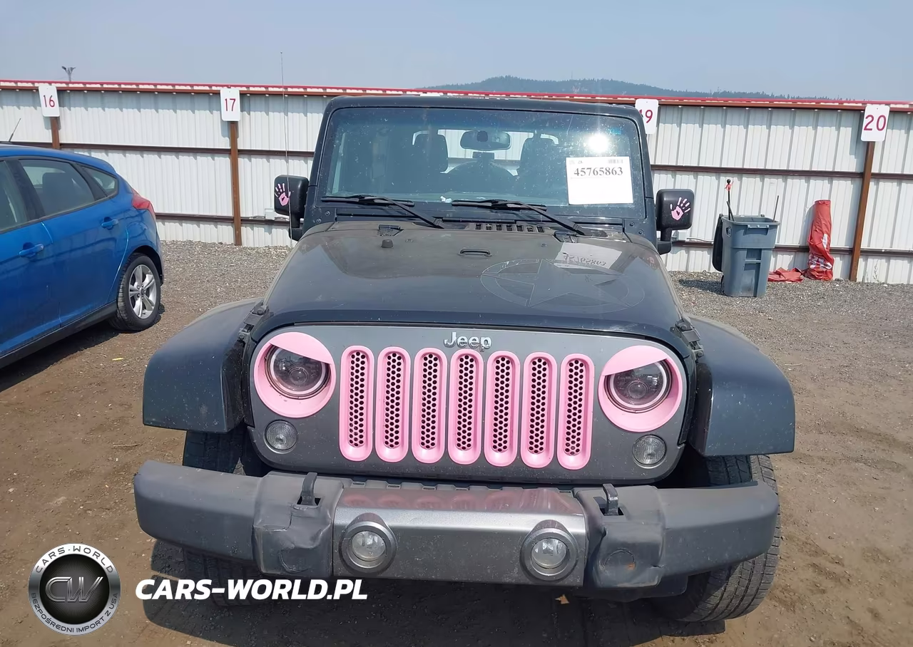 2015 Jeep Wrangler Unlimited Freedom Edition VIN:1C4BJWDG8FL594053 - 12
