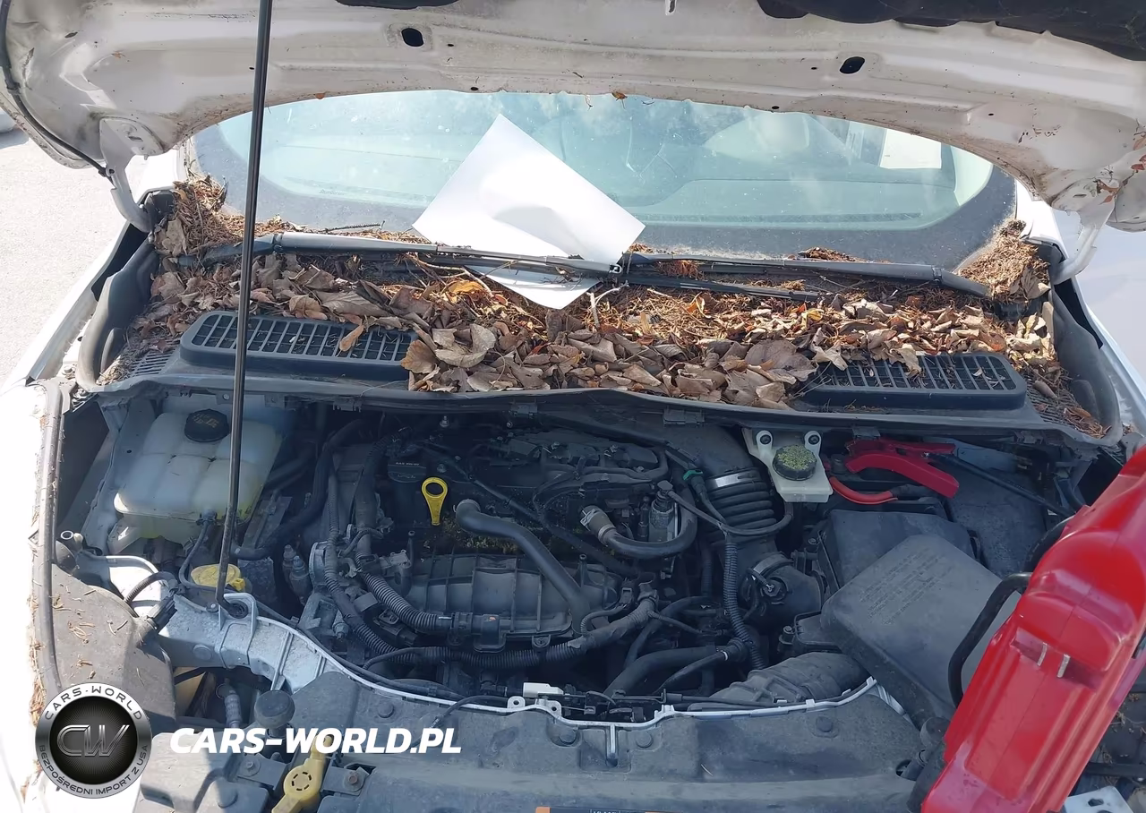 2014 Ford Escape Se VIN:1FMCU0GX2EUD24633 - 10