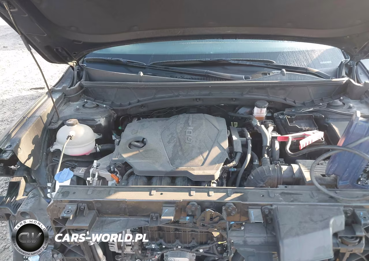 2024 Hyundai Santa Cruz Sel VIN:5NTJCDAE4RH097041 - 10