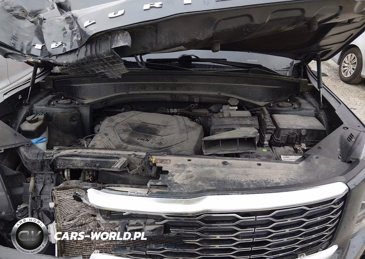 2021 Kia Telluride S VIN:5XYP6DHC9MG157352 - 10