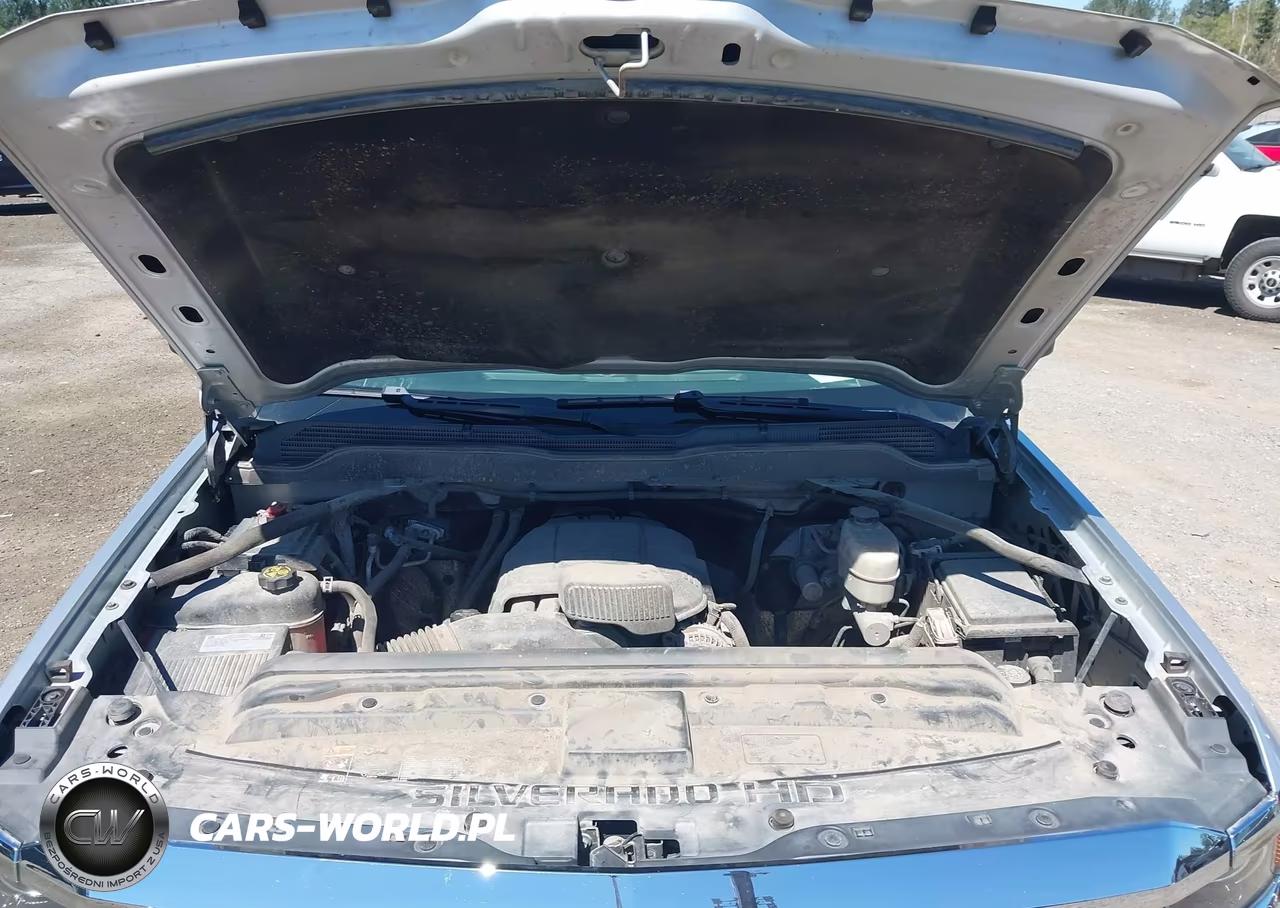 2019 Chevrolet Silverado 2500Hd Wt VIN:1GC1KREG0KF168889 - 10