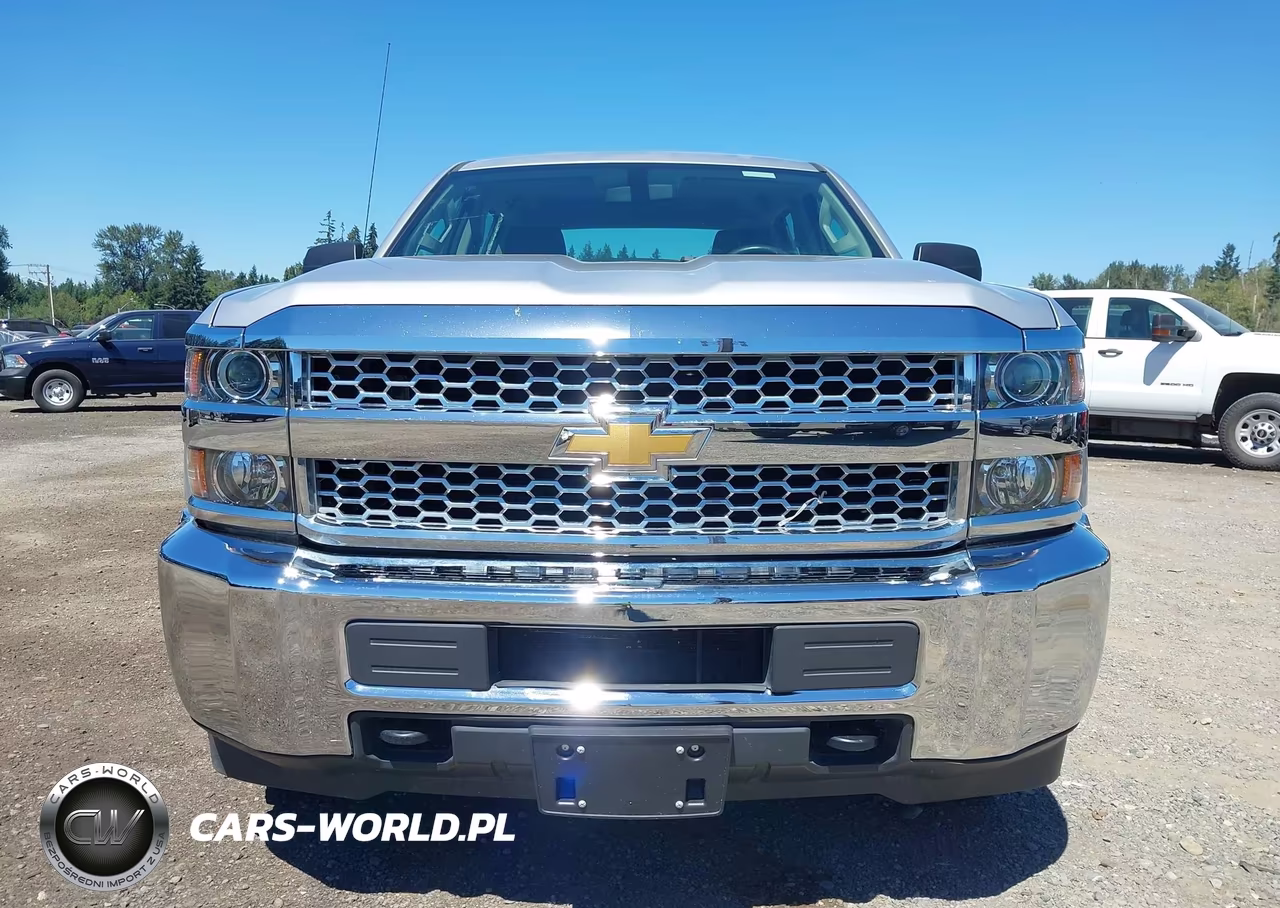 2019 Chevrolet Silverado 2500Hd Wt VIN:1GC1KREG0KF168889 - 12