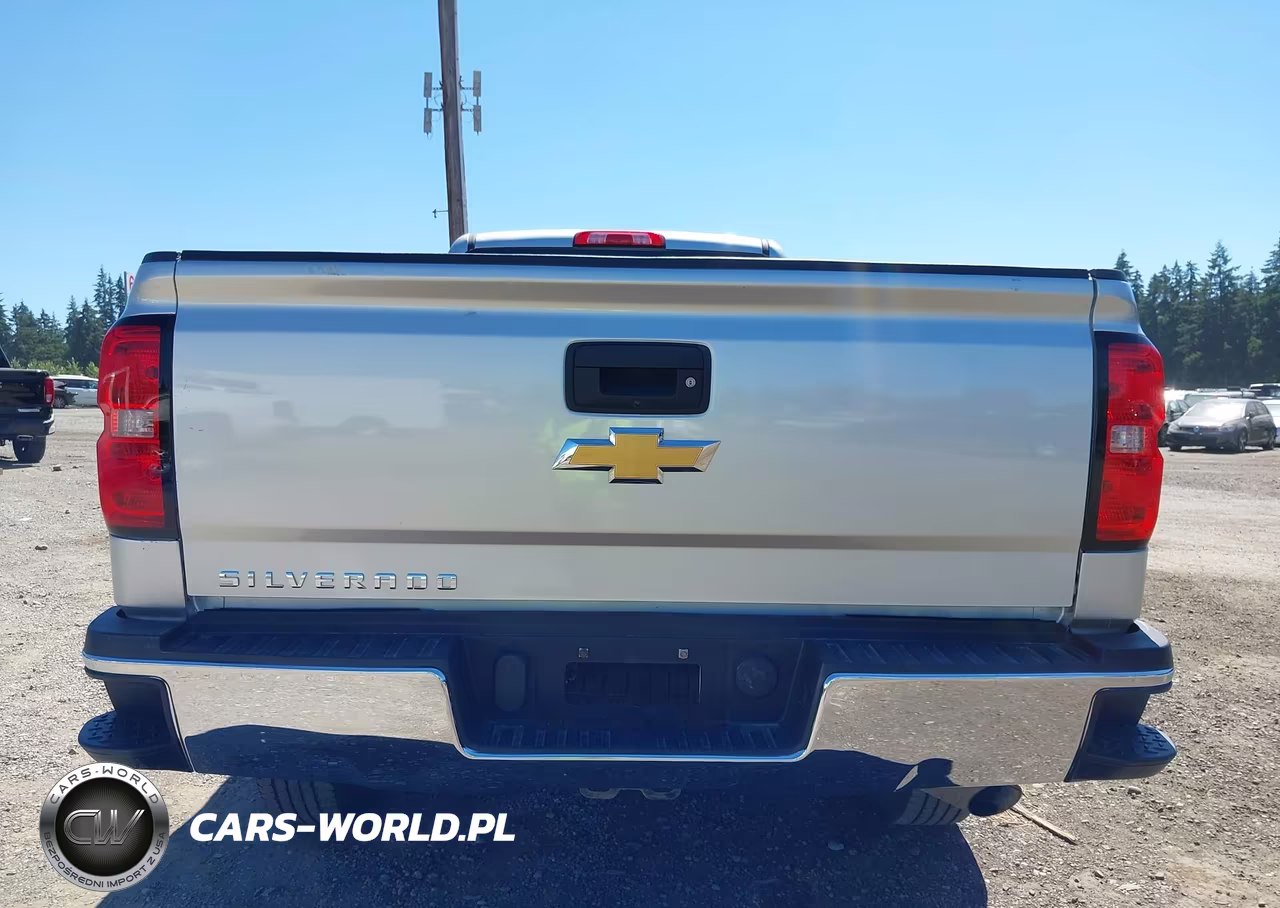 2019 Chevrolet Silverado 2500Hd Wt VIN:1GC1KREG0KF168889 - 16