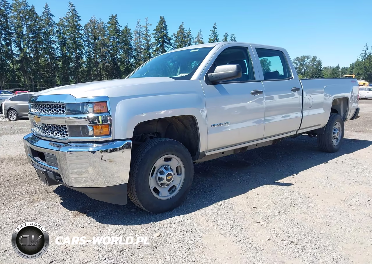 2019 Chevrolet Silverado 2500Hd Wt VIN:1GC1KREG0KF168889 - 2
