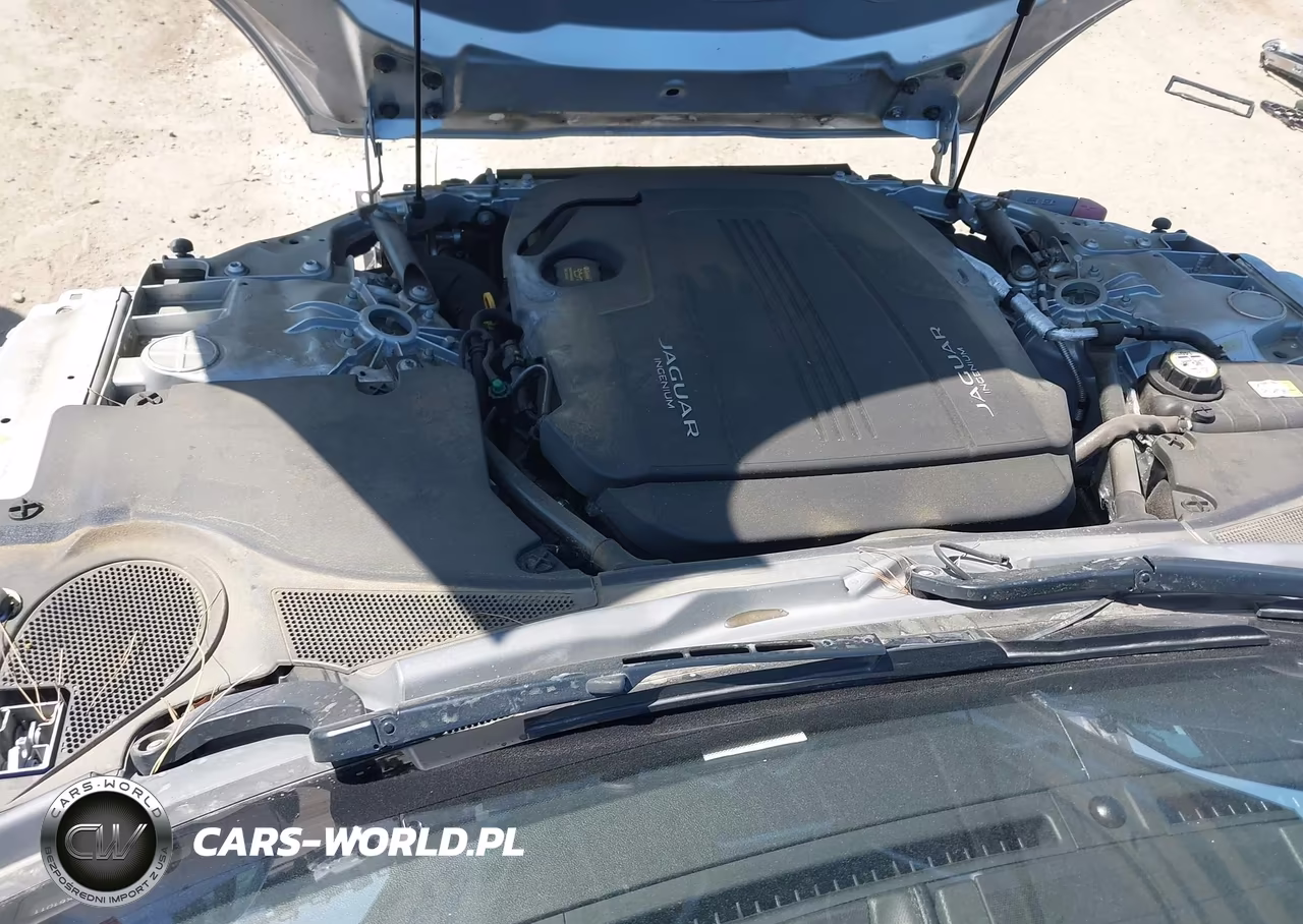2019 Jaguar F-Type P300 VIN:SAJDD1GX1KCK61011 - 10