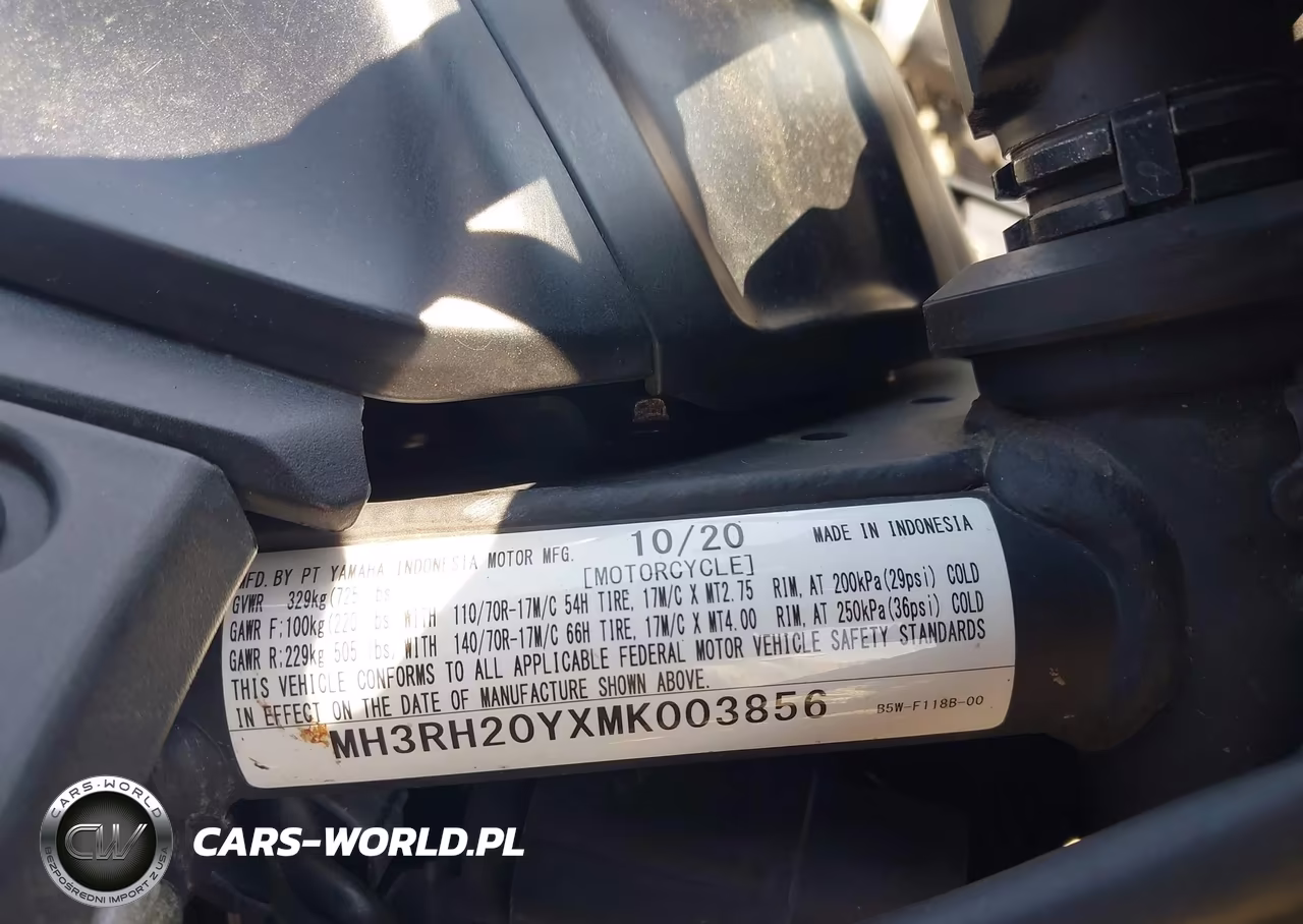 2021 Yamaha Mt-03 VIN:MH3RH20YXMK003856 - 10