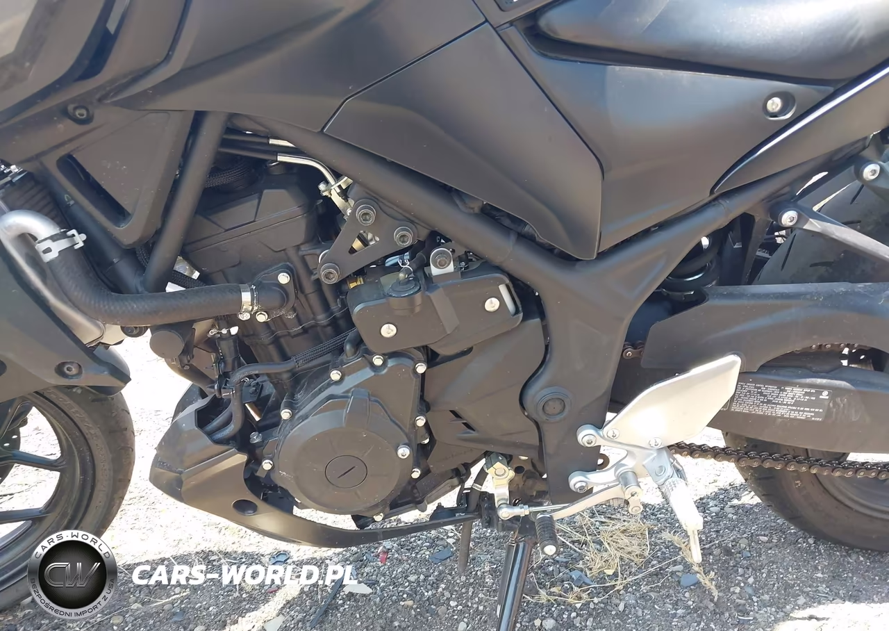 2021 Yamaha Mt-03 VIN:MH3RH20YXMK003856 - 9