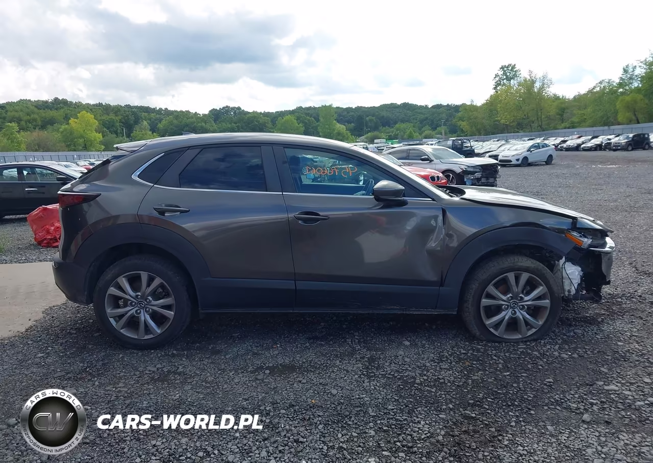 2020 Mazda Cx-30 Preferred Package VIN:3MVDMBDL2LM114409 - 13