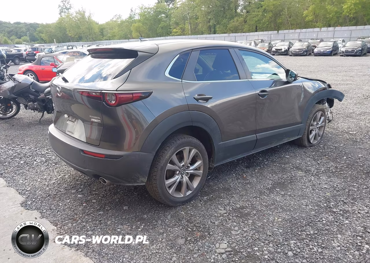 2020 Mazda Cx-30 Preferred Package VIN:3MVDMBDL2LM114409 - 4