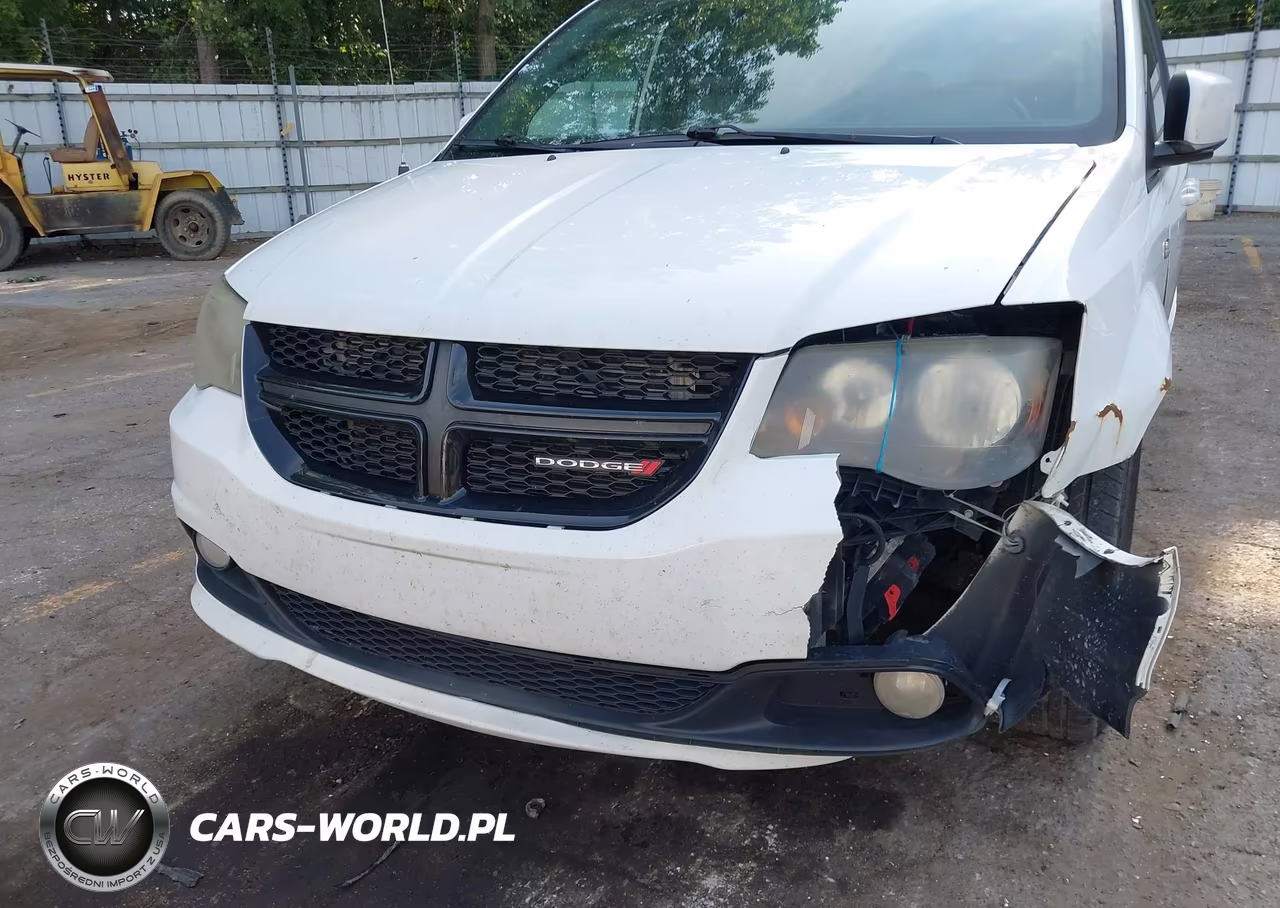 2014 Dodge Grand Caravan Sxt VIN:2C4RDGCG9ER459201 - 12