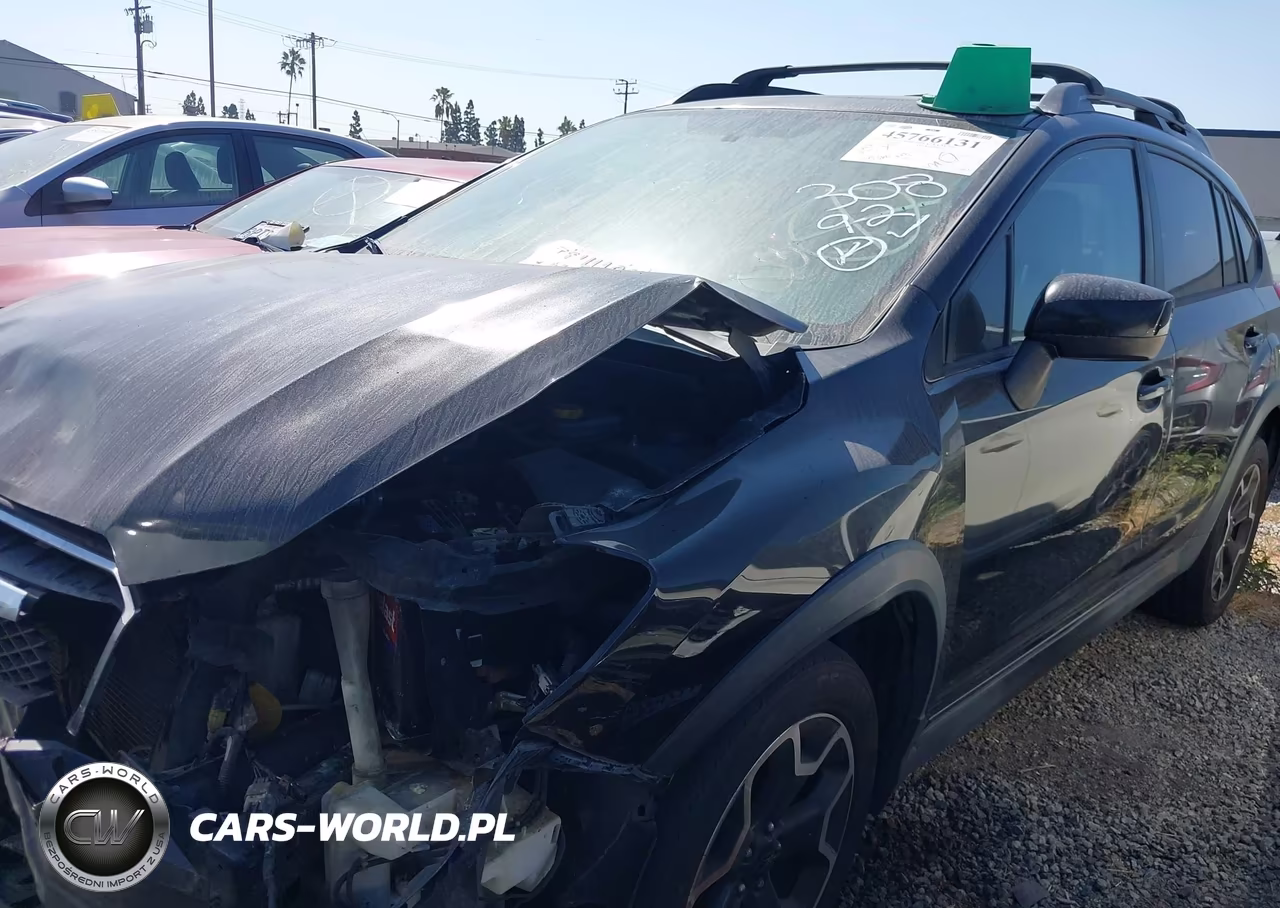 2015 Subaru Xv Crosstrek 2.0I Premium VIN:JF2GPADC9F8264463 - 13