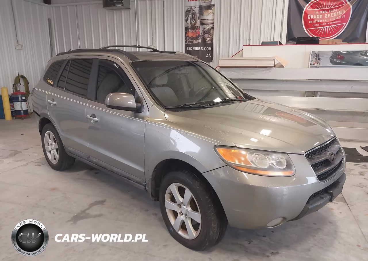 2009 Hyundai Santa Fe Se
