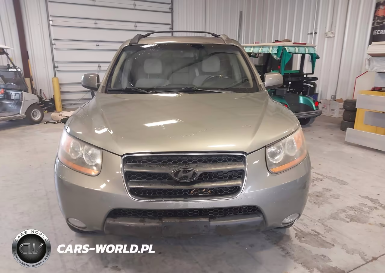 2009 Hyundai Santa Fe Se VIN:5NMSH13E69H302212 - 12