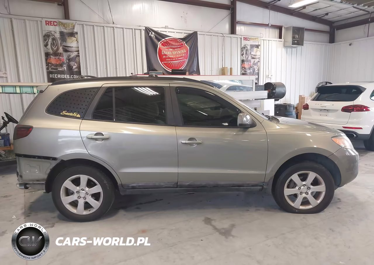 2009 Hyundai Santa Fe Se VIN:5NMSH13E69H302212 - 13