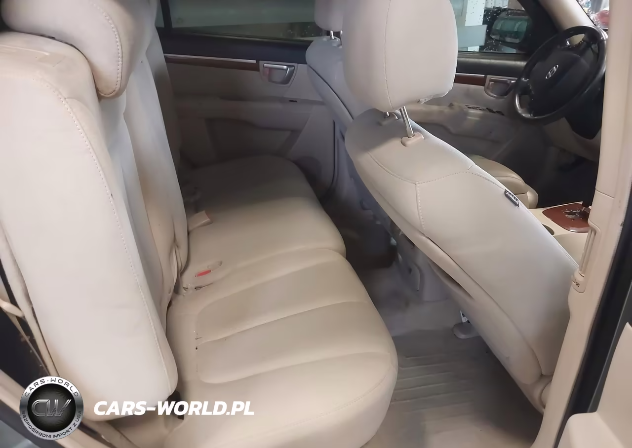 2009 Hyundai Santa Fe Se VIN:5NMSH13E69H302212 - 8