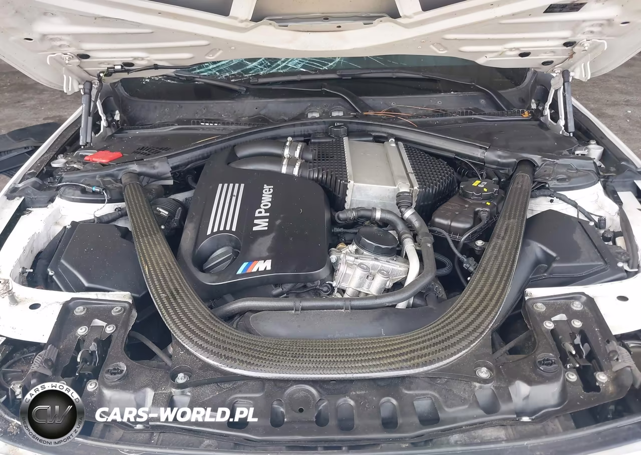 2016 BMW M3 VIN:WBS8M9C53G5D31540 - 10