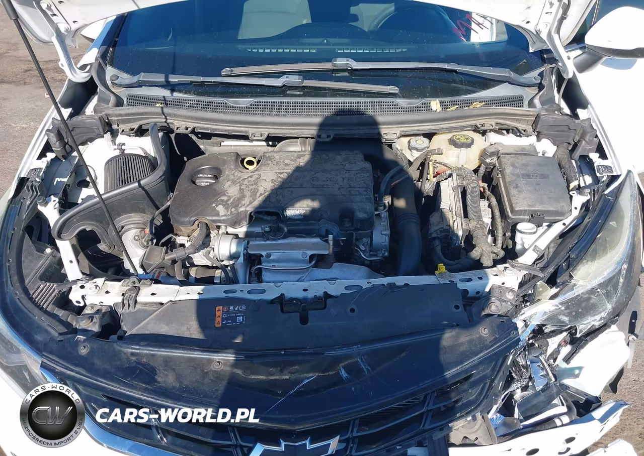 2018 Chevrolet Cruze Lt Auto VIN:1G1BE5SM0J7220487 - 10