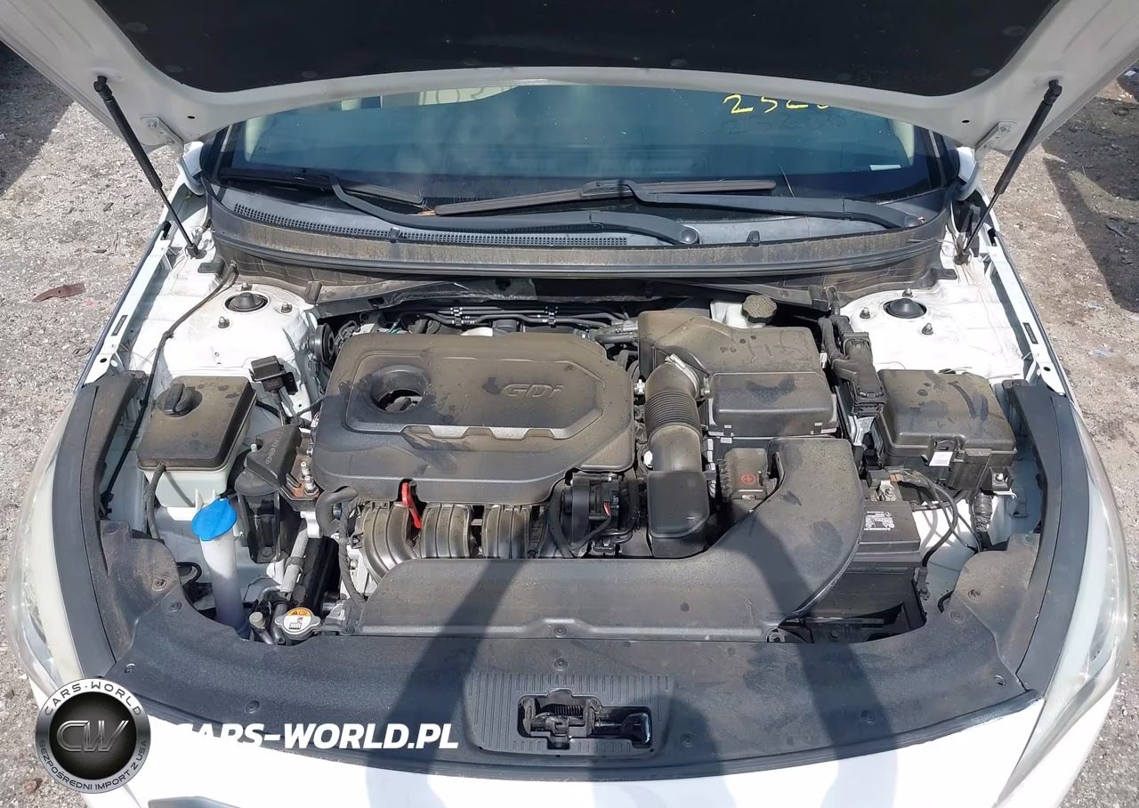 2015 Hyundai Sonata Se VIN:5NPE24AF4FH232509 - 10