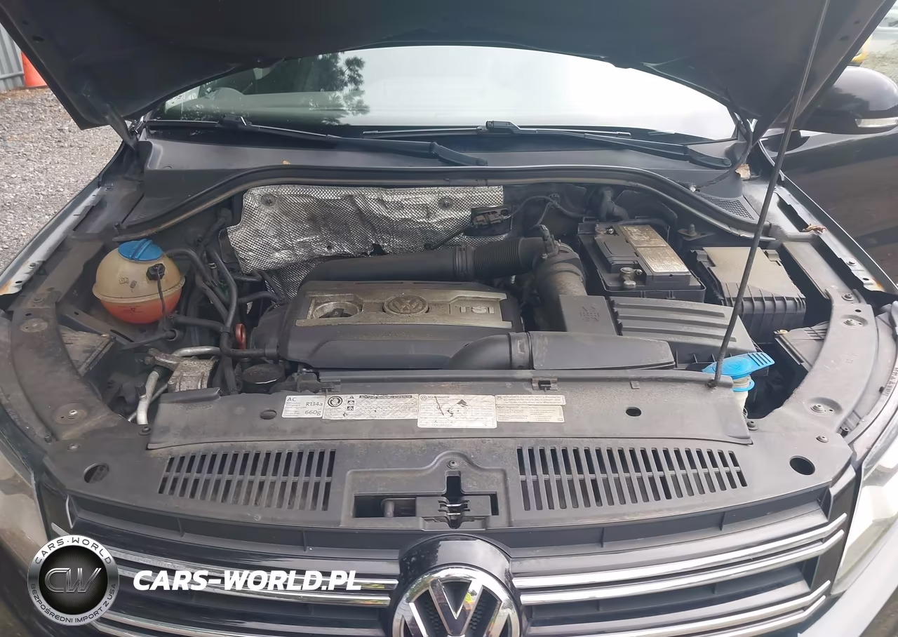 2013 Volkswagen Tiguan Sel VIN:WVGBV7AX1DW524321 - 10