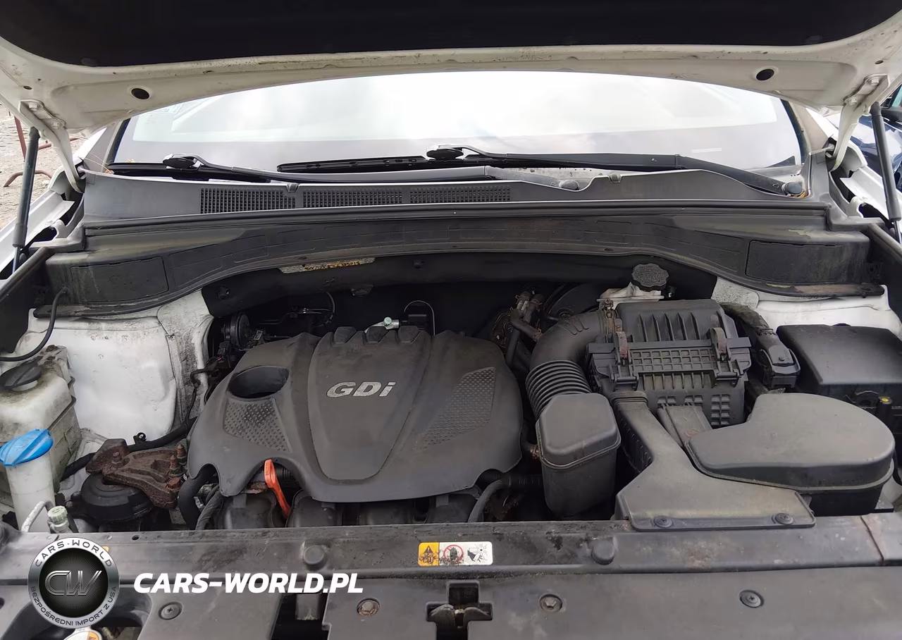 2016 Hyundai Santa Fe Sport 2.4L VIN:5XYZUDLB5GG325215 - 10